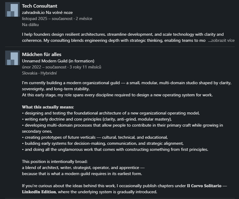 Screenshot of my LinkedIn roles: Tech Consultant and “Mädchen für alles.”